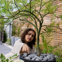 Dekorsten Grå basalt 30-60mm, 500kg, 50st, Halvpall