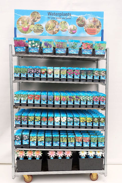 Vattenväxter Mix CC