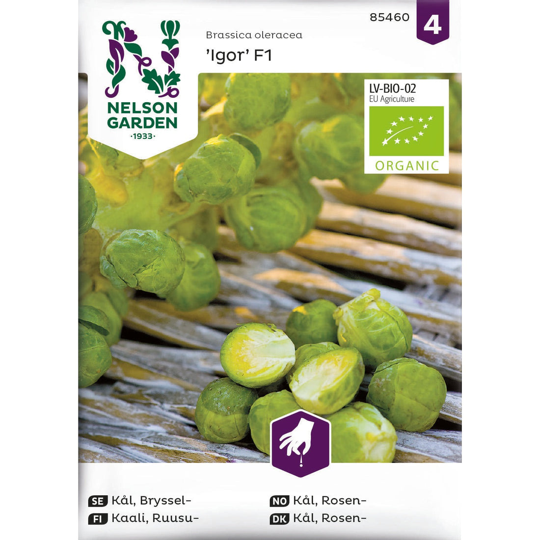 Kål Bryssel- Igor F1 Organic