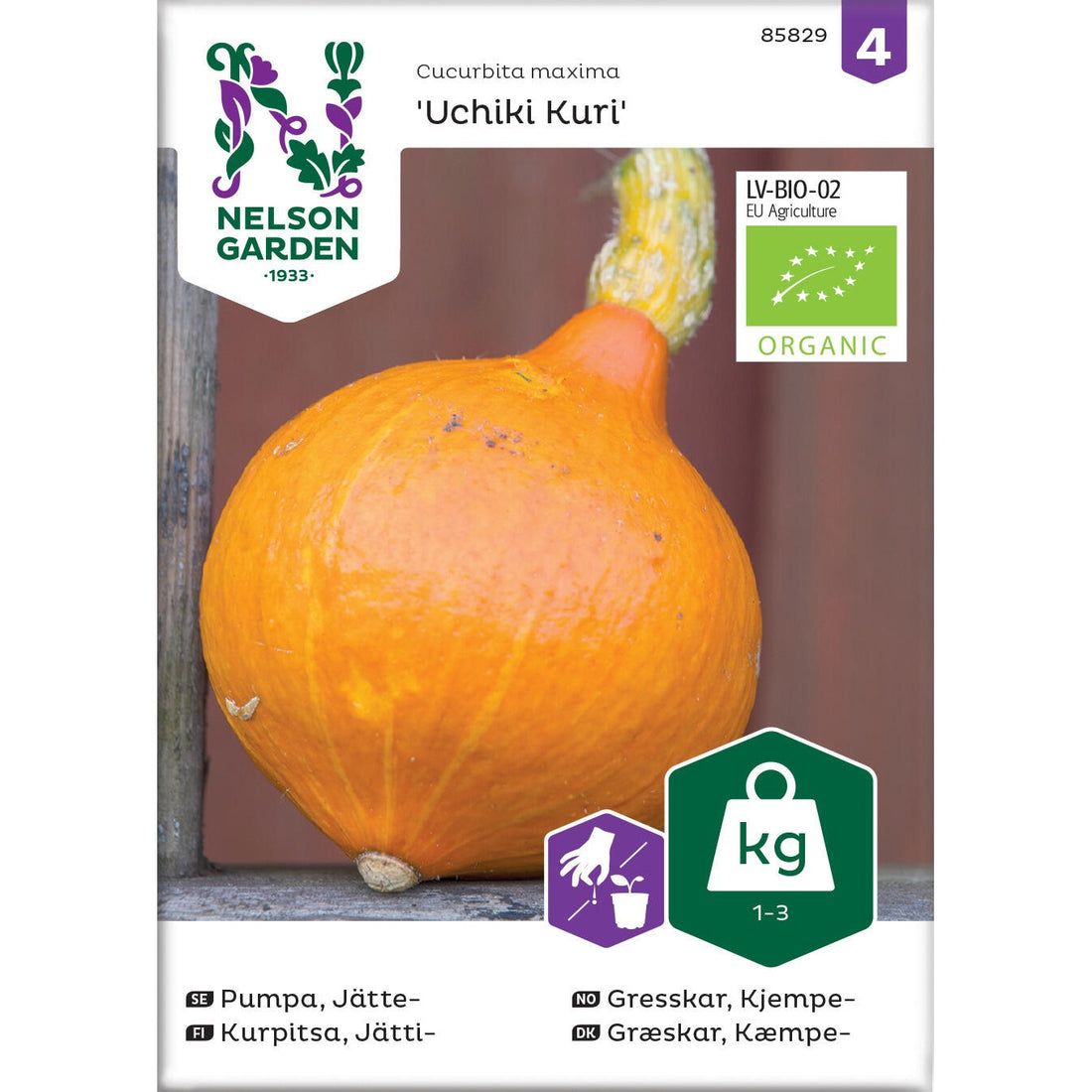 Pumpa Jätte- Uchiki Kuri Organic