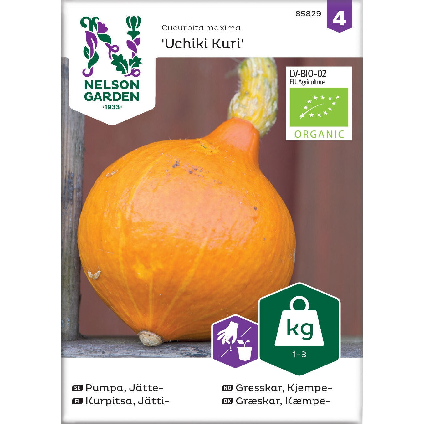 Pumpa Jätte- Uchiki Kuri Organic