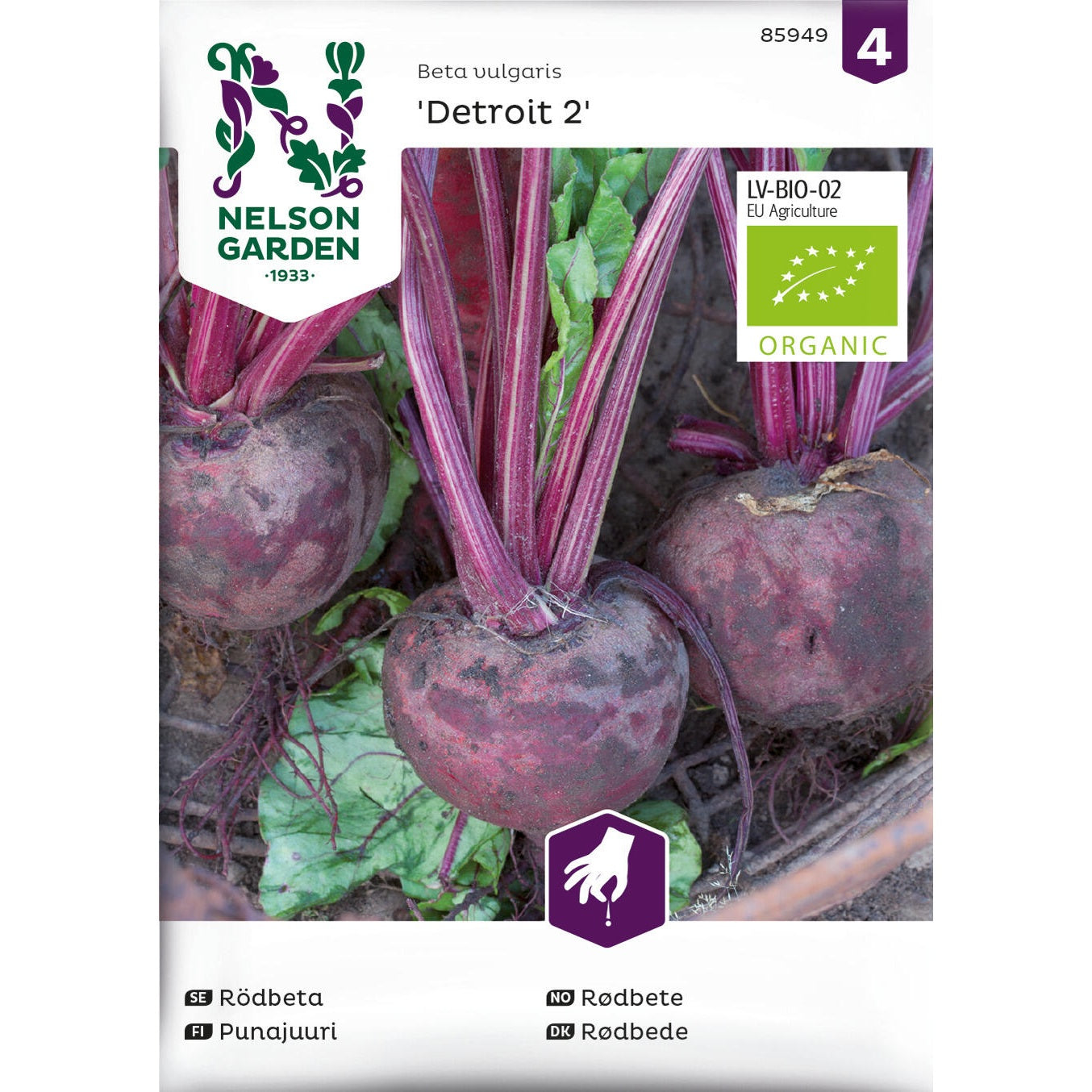 Rödbeta Detroit 2 rund Organic