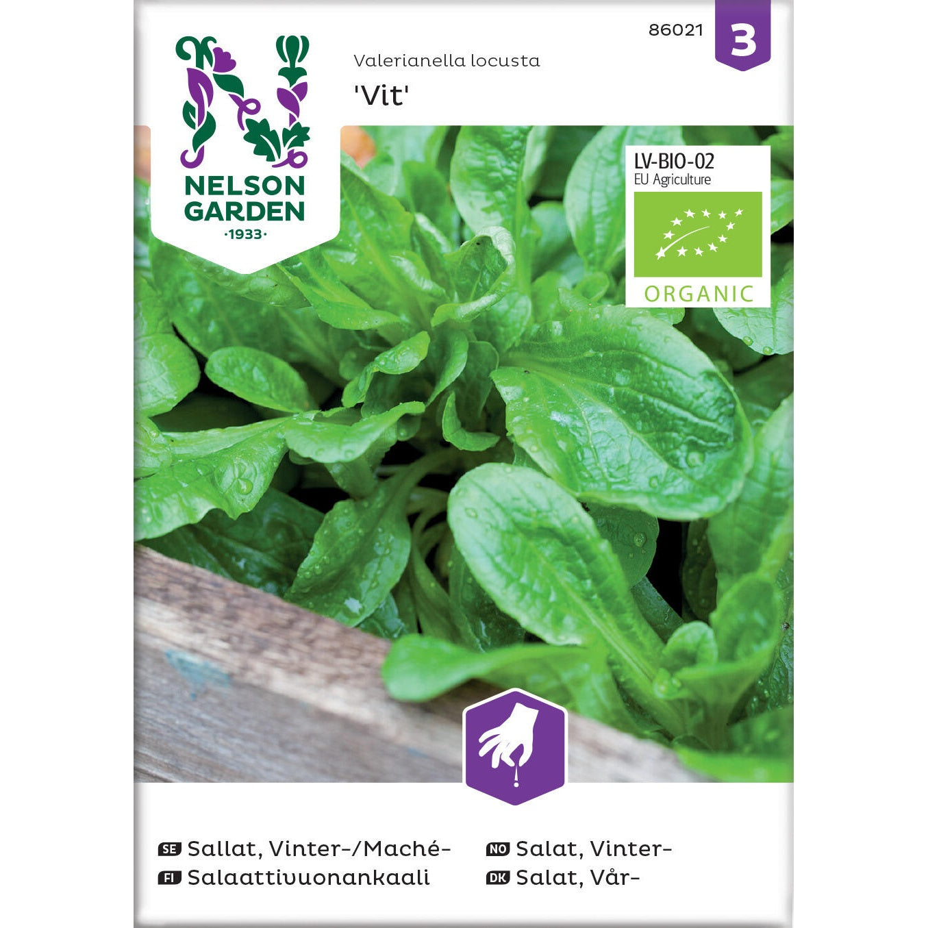 Sallat Vinter- / Mache Vit Organic