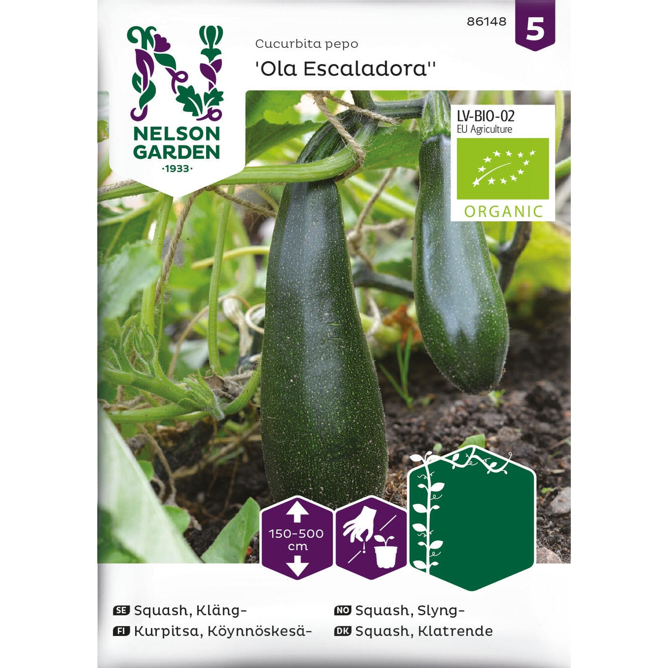 Squash Kläng- Ola Escaladora Organic