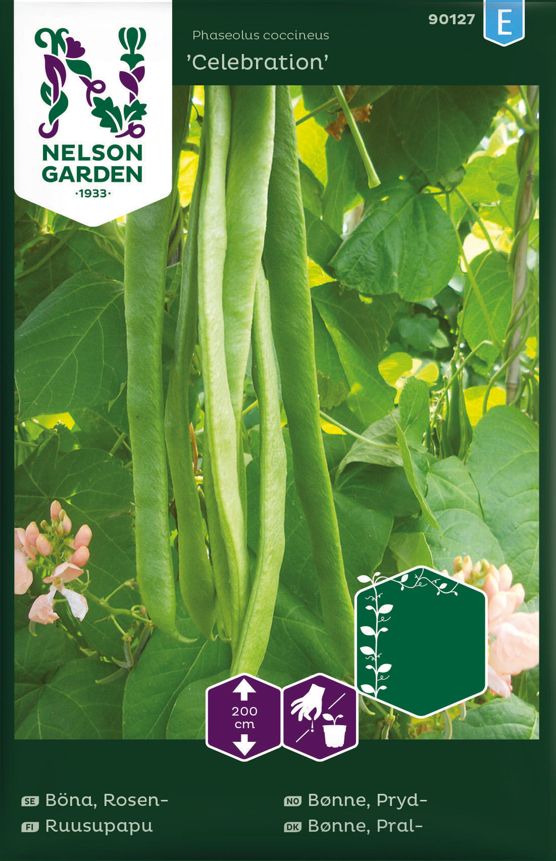 Böna Blomster- Celebration