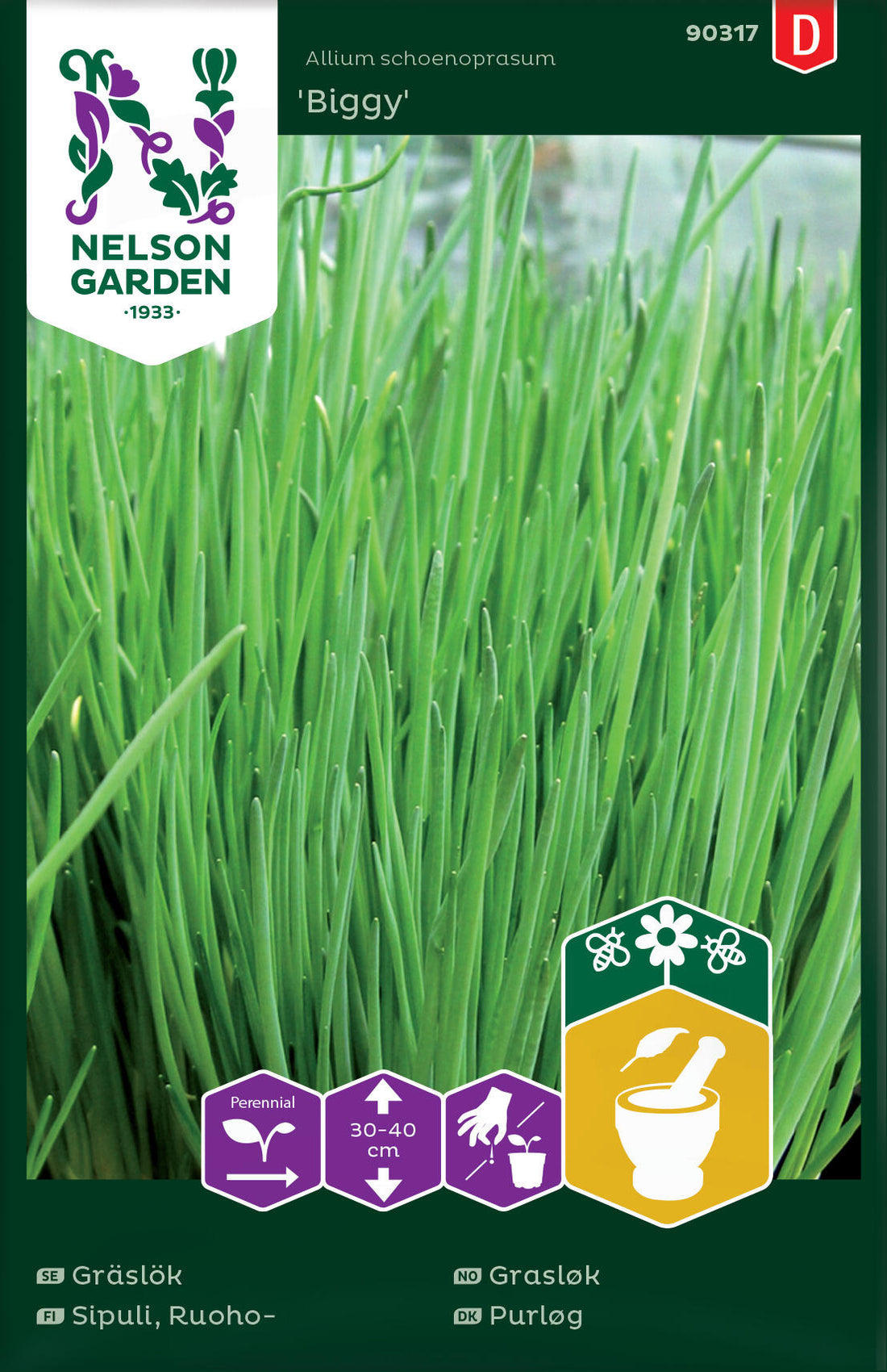 Gräslök Vanlig Biggy