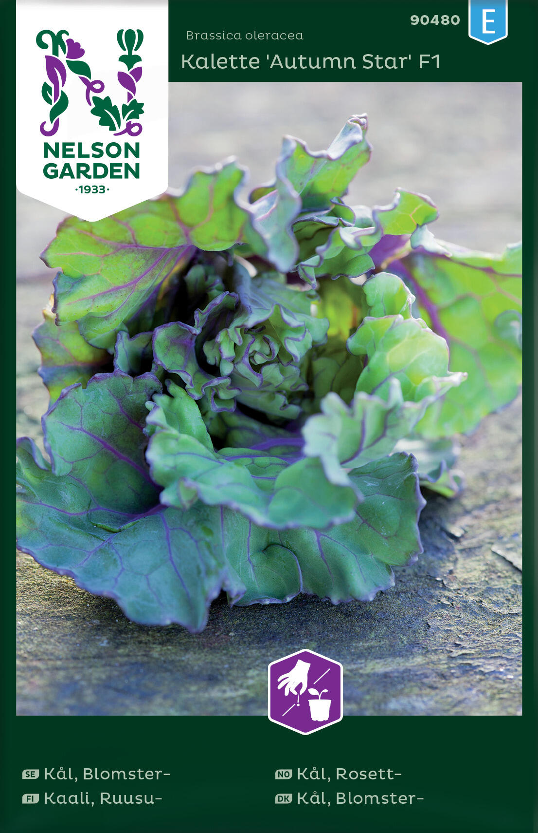 Blomsterkål Kalette Autumn Star F1