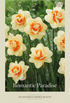 Narciss Romantic Paradise 5-pack