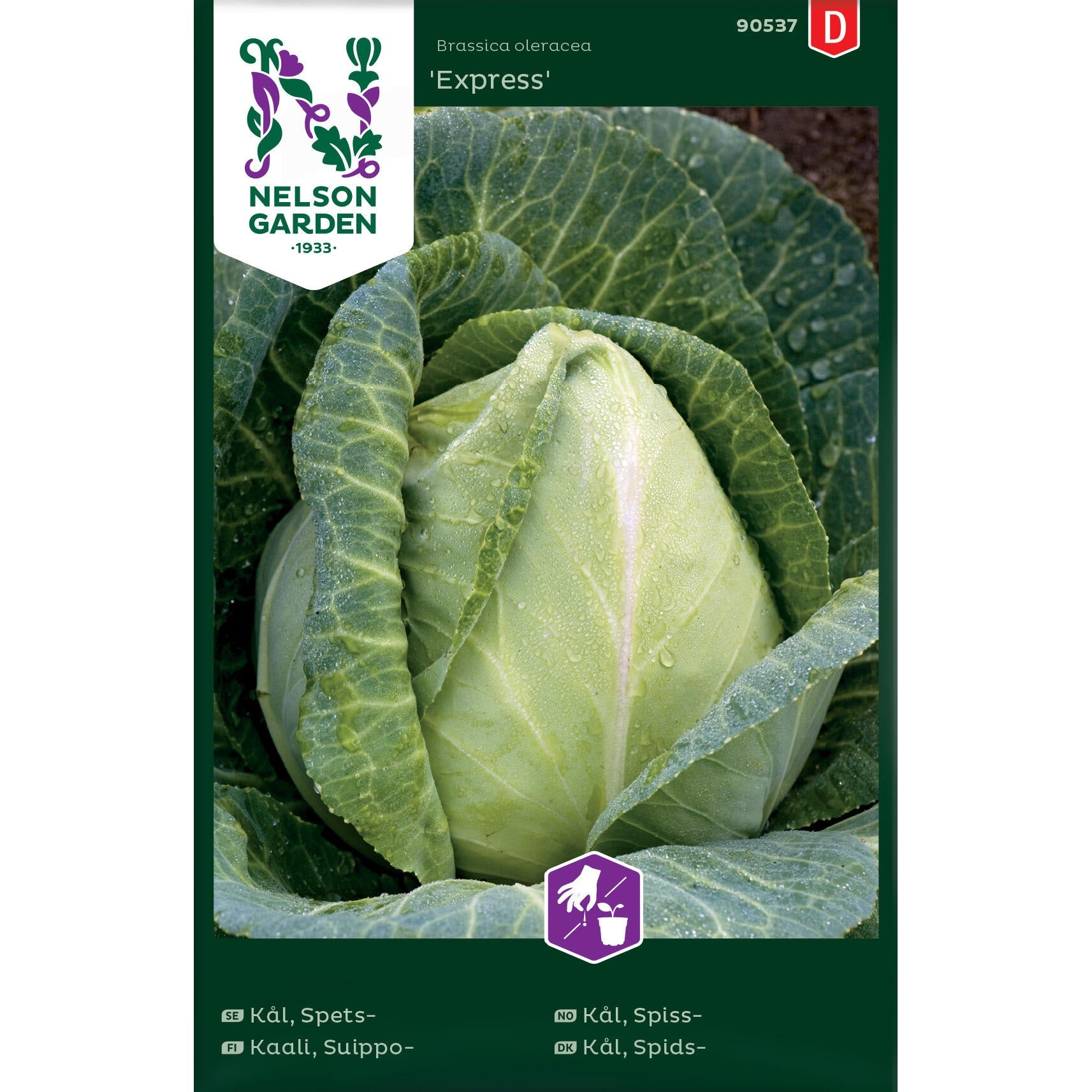 Kål Spets- Express