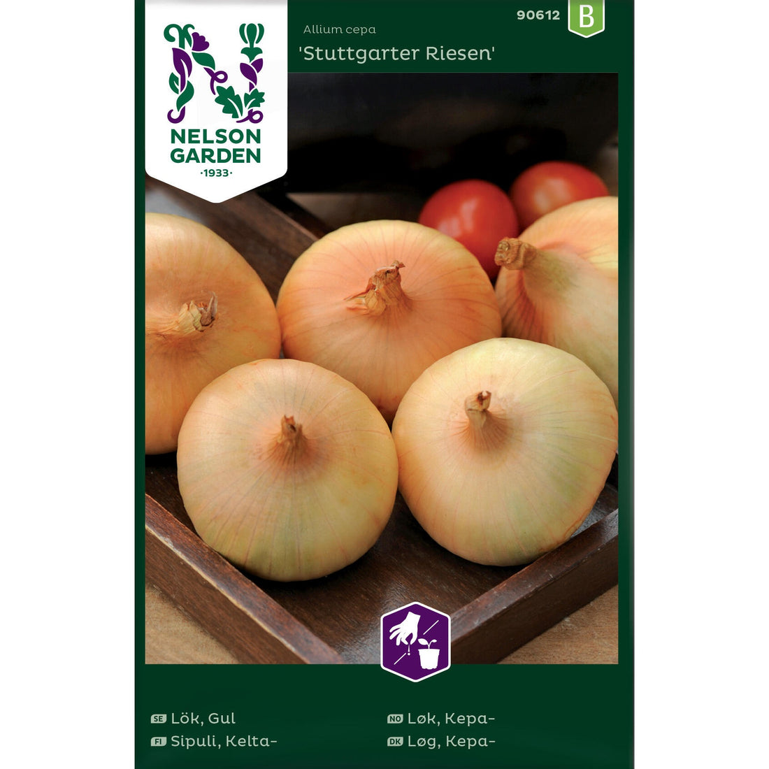 Gul lök Stuttgarter Riesen