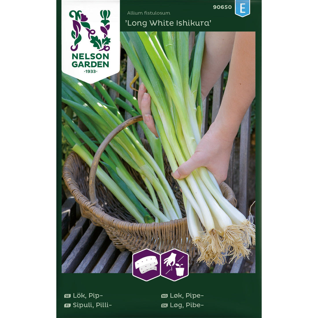 Lök Pip- Long White Ishikura Såband