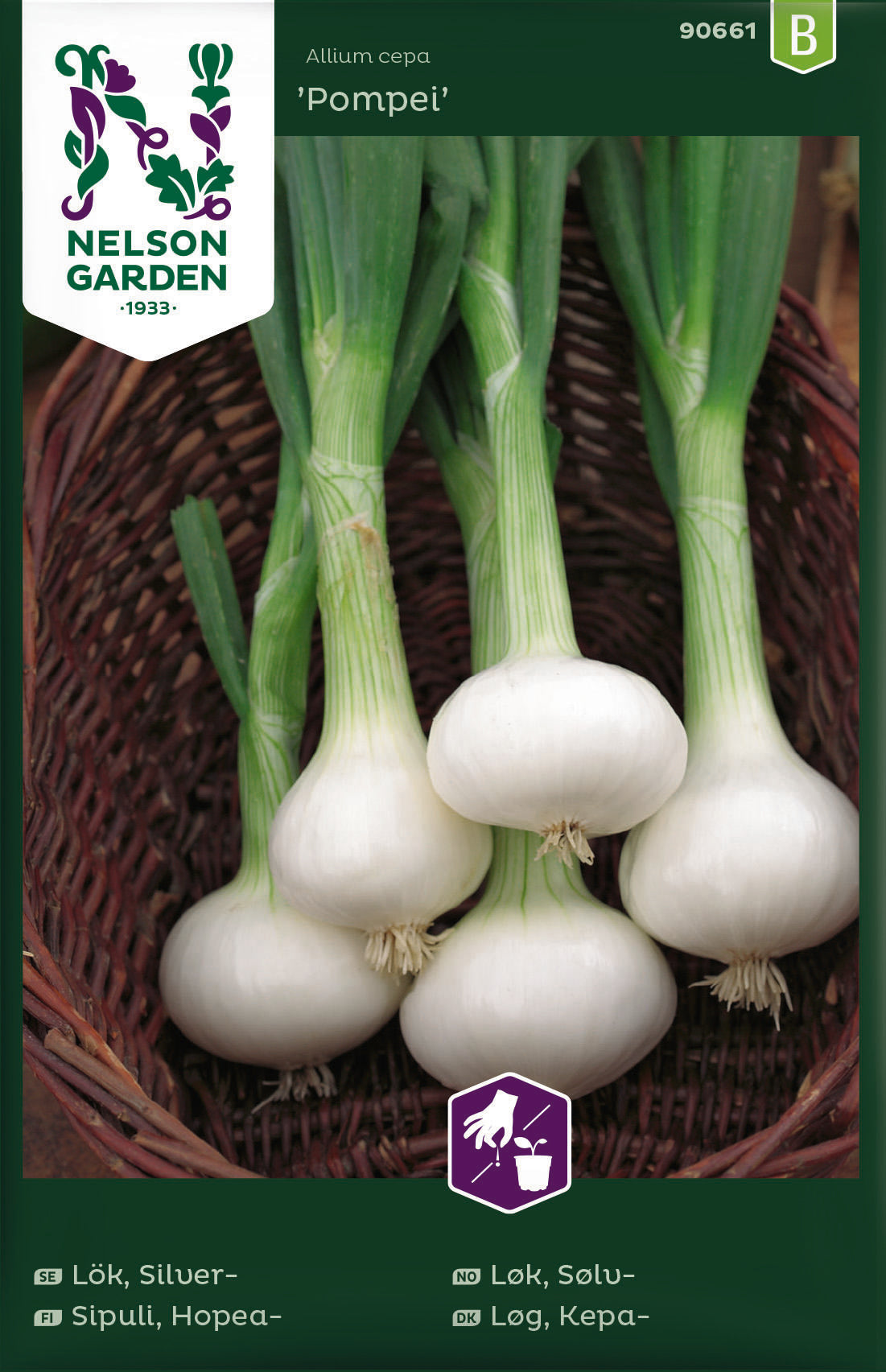 Lök Silver - Pompei