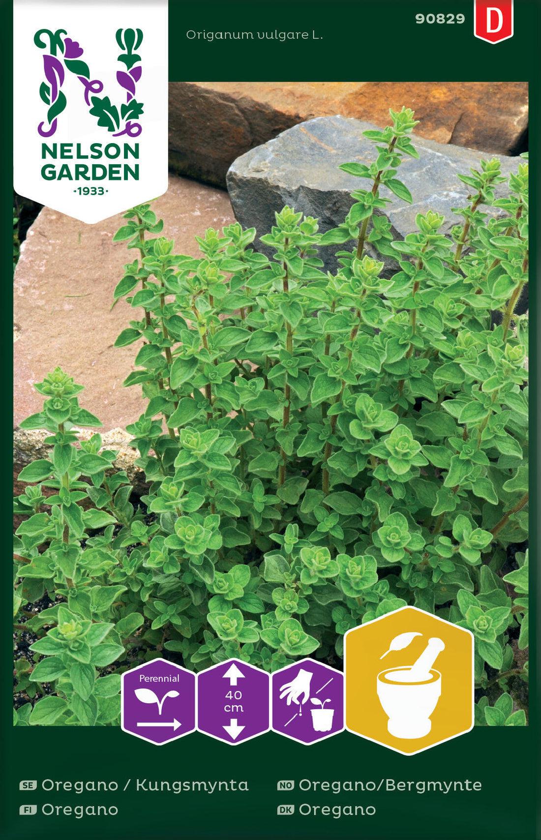 Oregano Kungsmynta