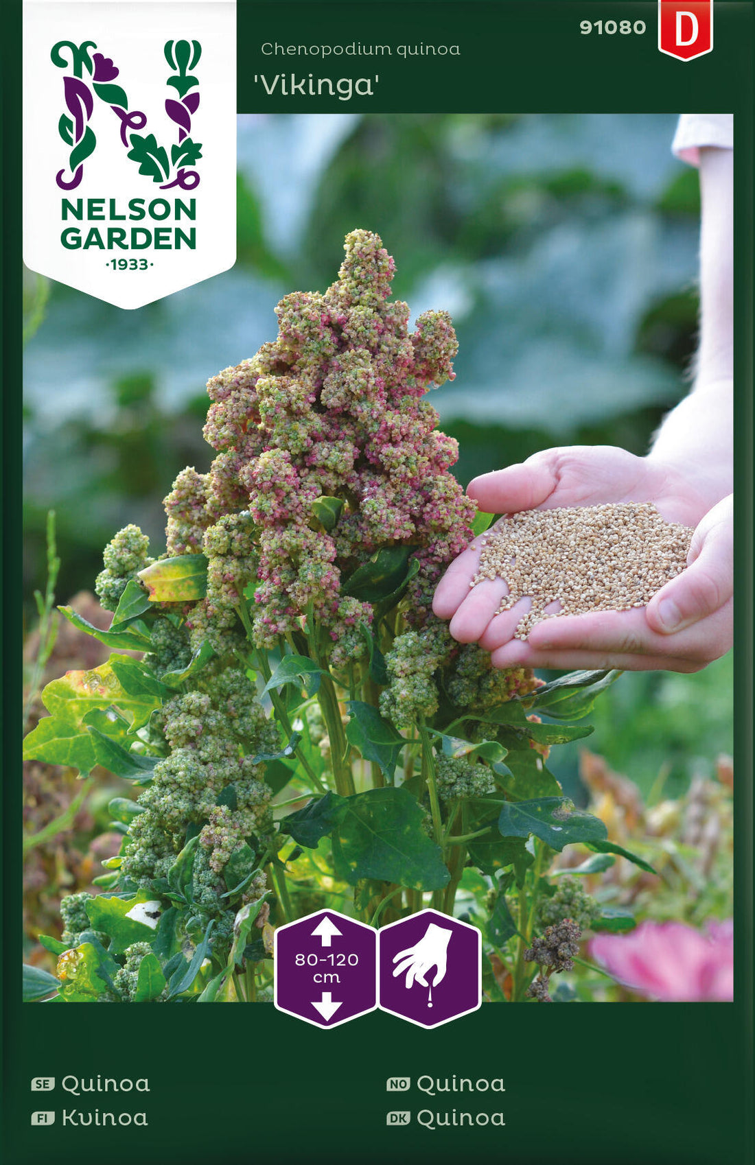 Quinoa Vikinga
