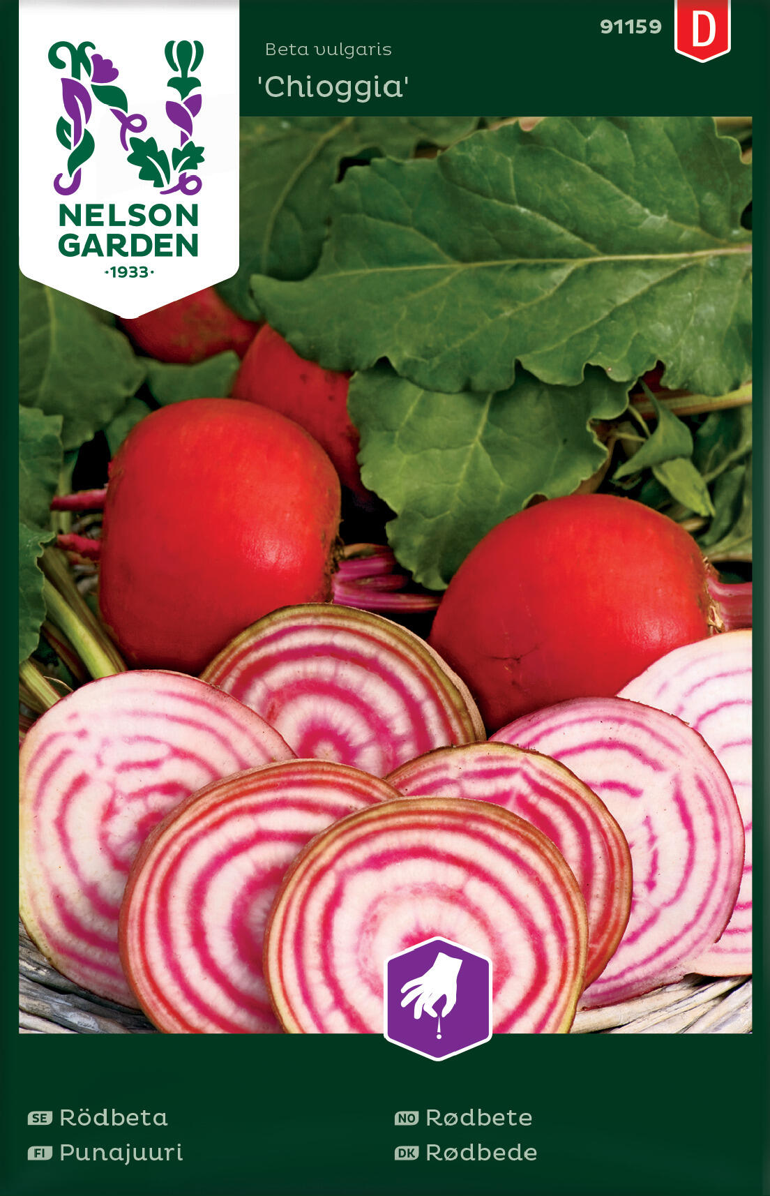 Rödbeta Chioggia rund