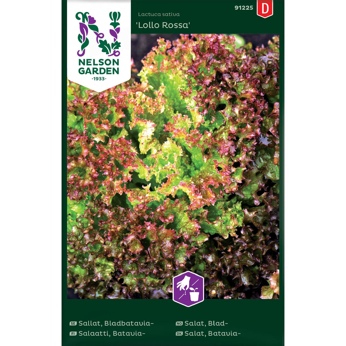 Sallat Bladbatavia- Lollo Rossa