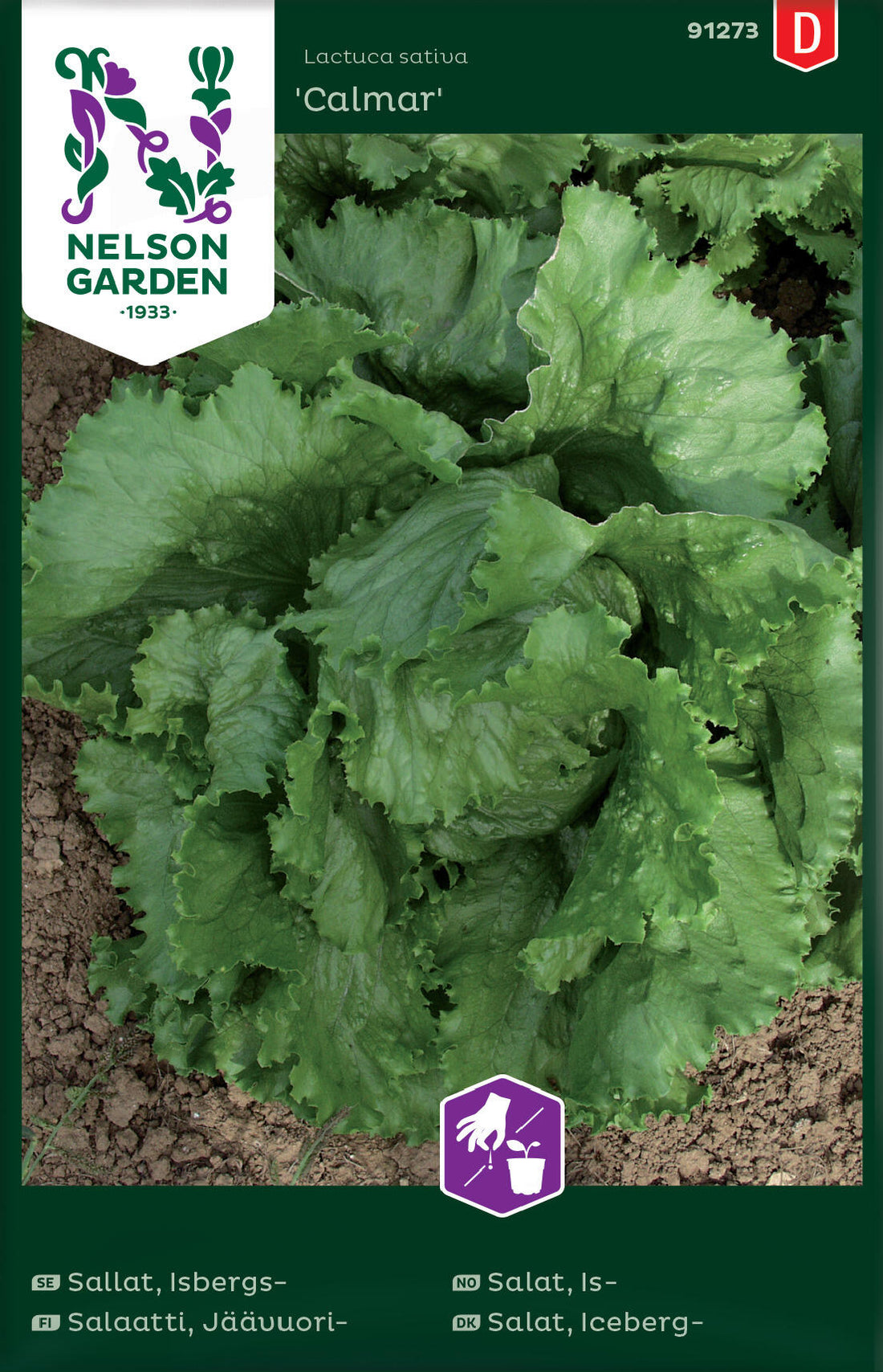 Sallat Isbergs- Calmar