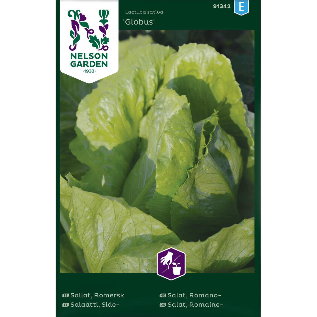 Sallat Romersk- Globus