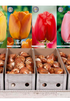 Showbox Tulipa Darwin Hybrid – 50 st