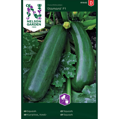 Squash Diamant F1