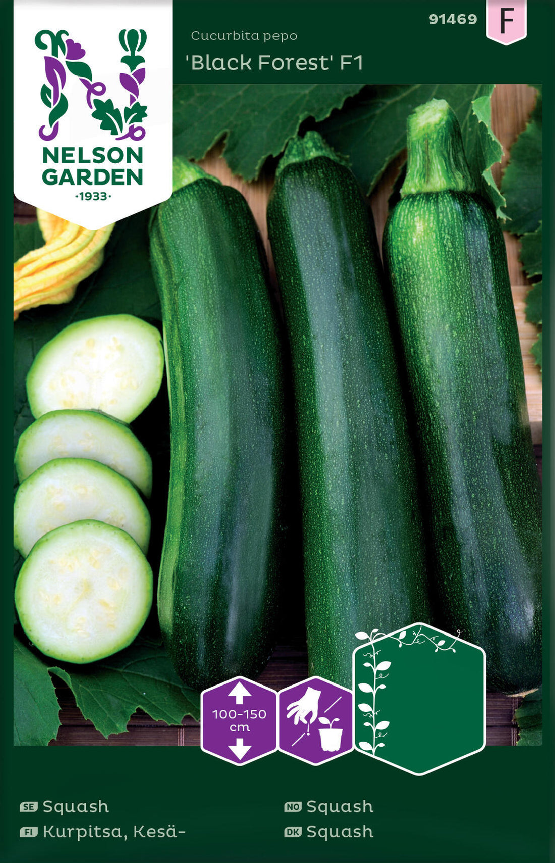 Squash Sommarpumpa Black Forest F1