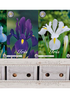 Showbox Iris – 150 st