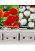 Showbox Ranunculus – 150 st