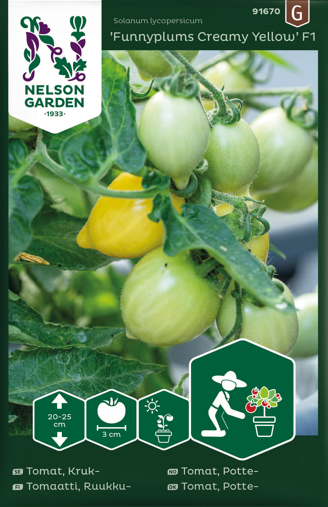 Tomat Kruk Funnyplums Creamy Yellow F1