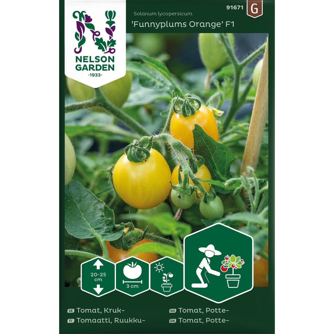 Tomat Kruk Funnyplums Orange F1