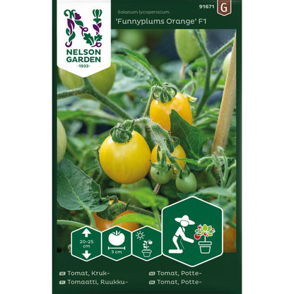 Tomat Kruk Funnyplums Orange F1