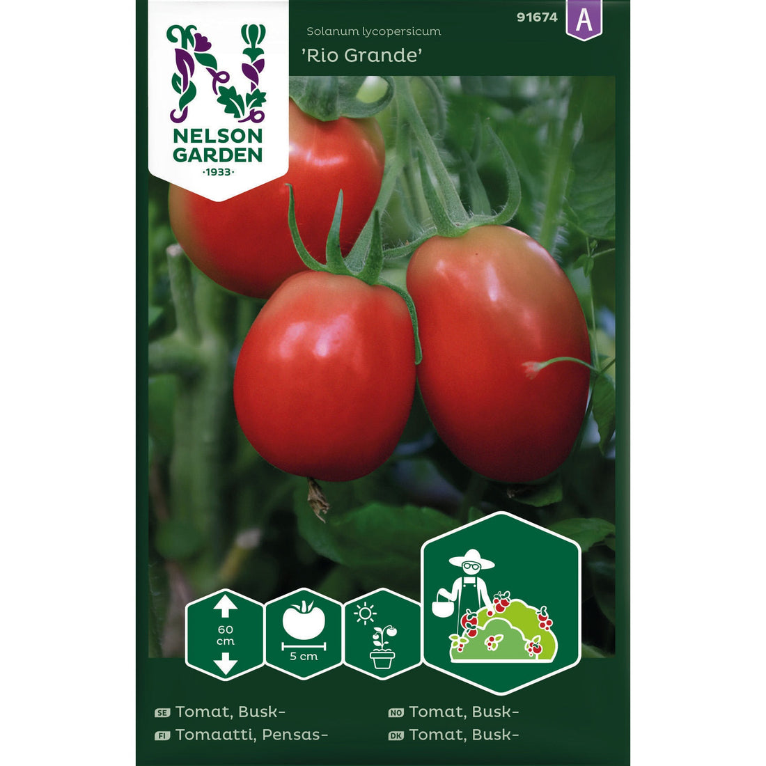 Tomat Busk- Rio Grande