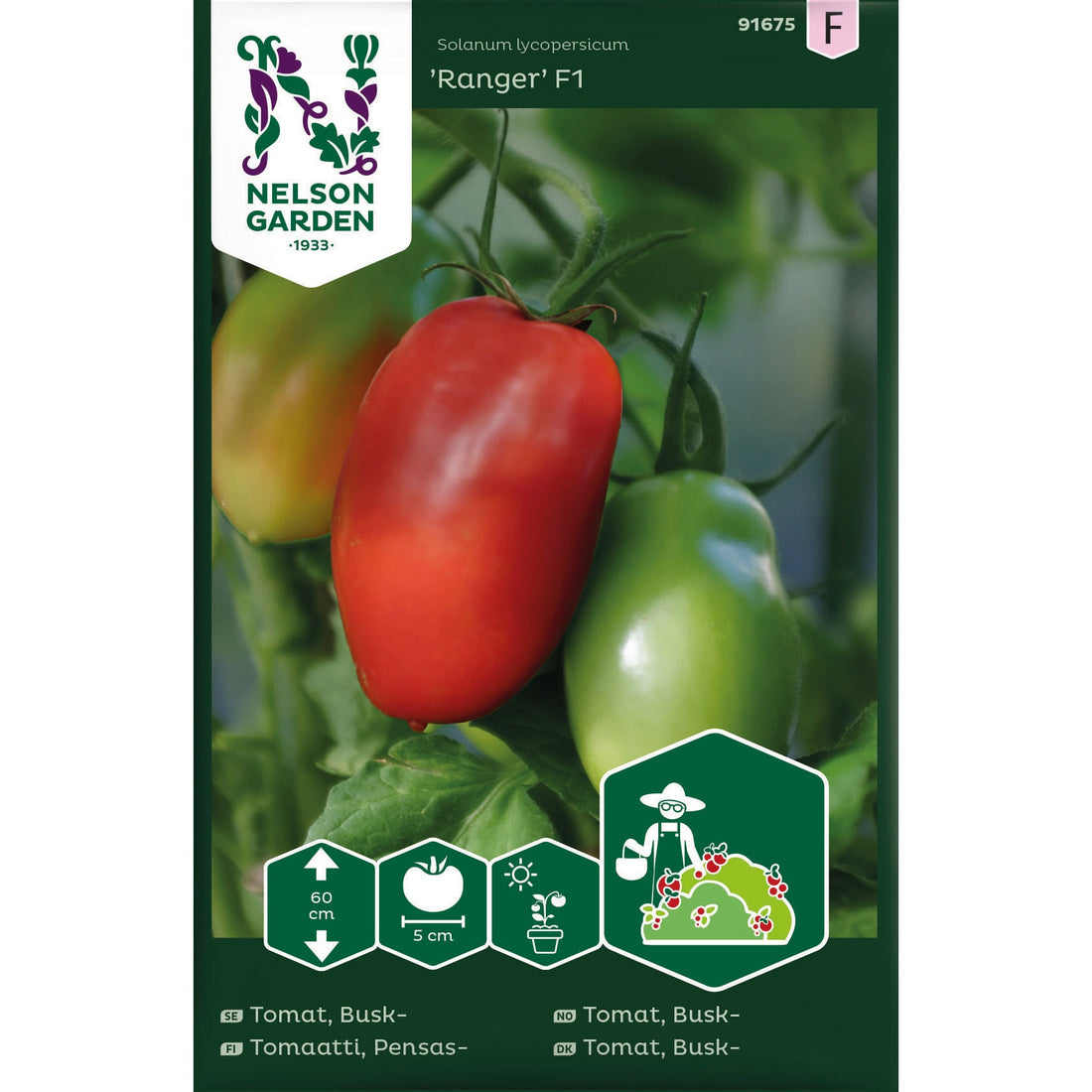 Tomat Busk- Ranger F1