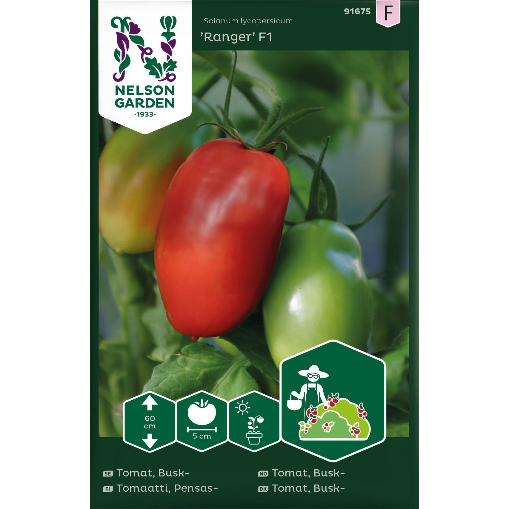 Tomat Busk- Ranger F1