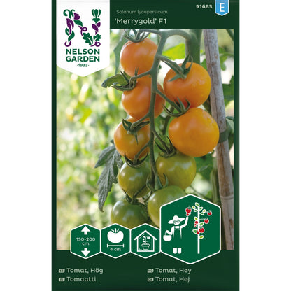 Tomat Hög Merrygold F1