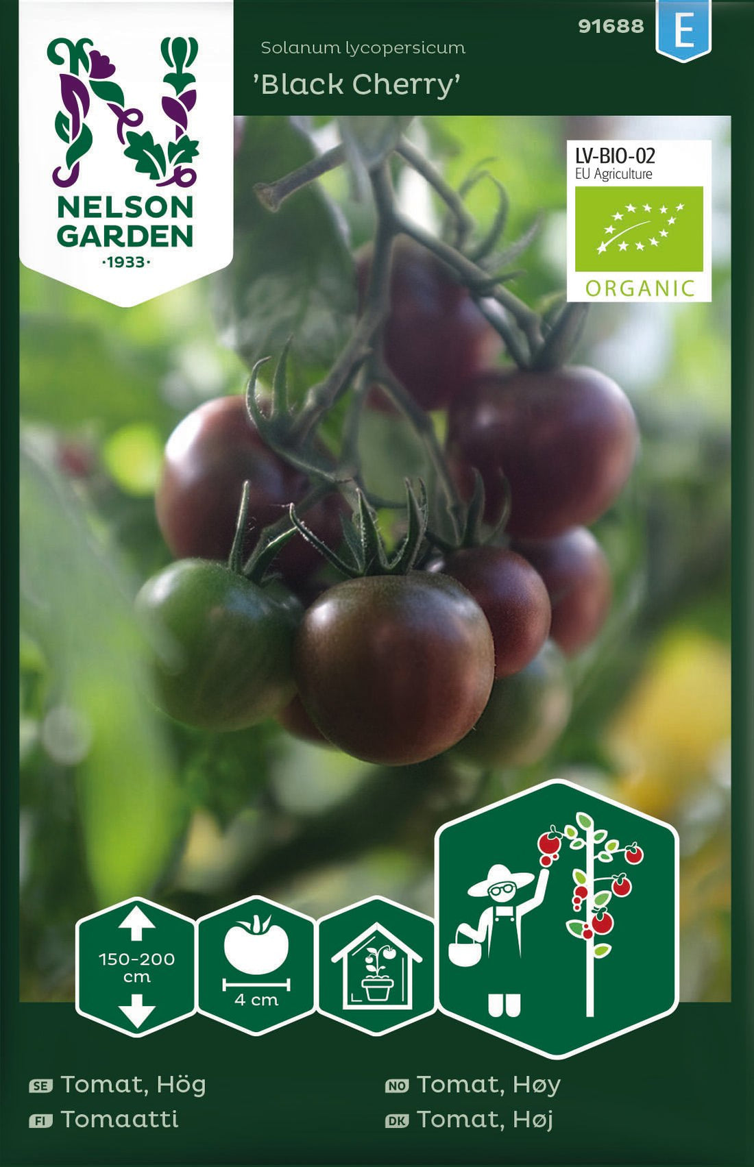 Tomat Hög Black Cherry Organic