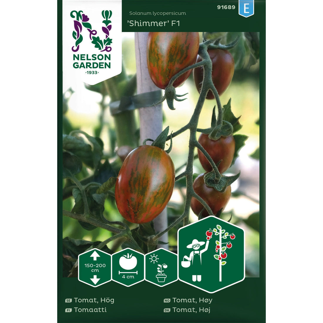 Tomat Hög Shimmer F1