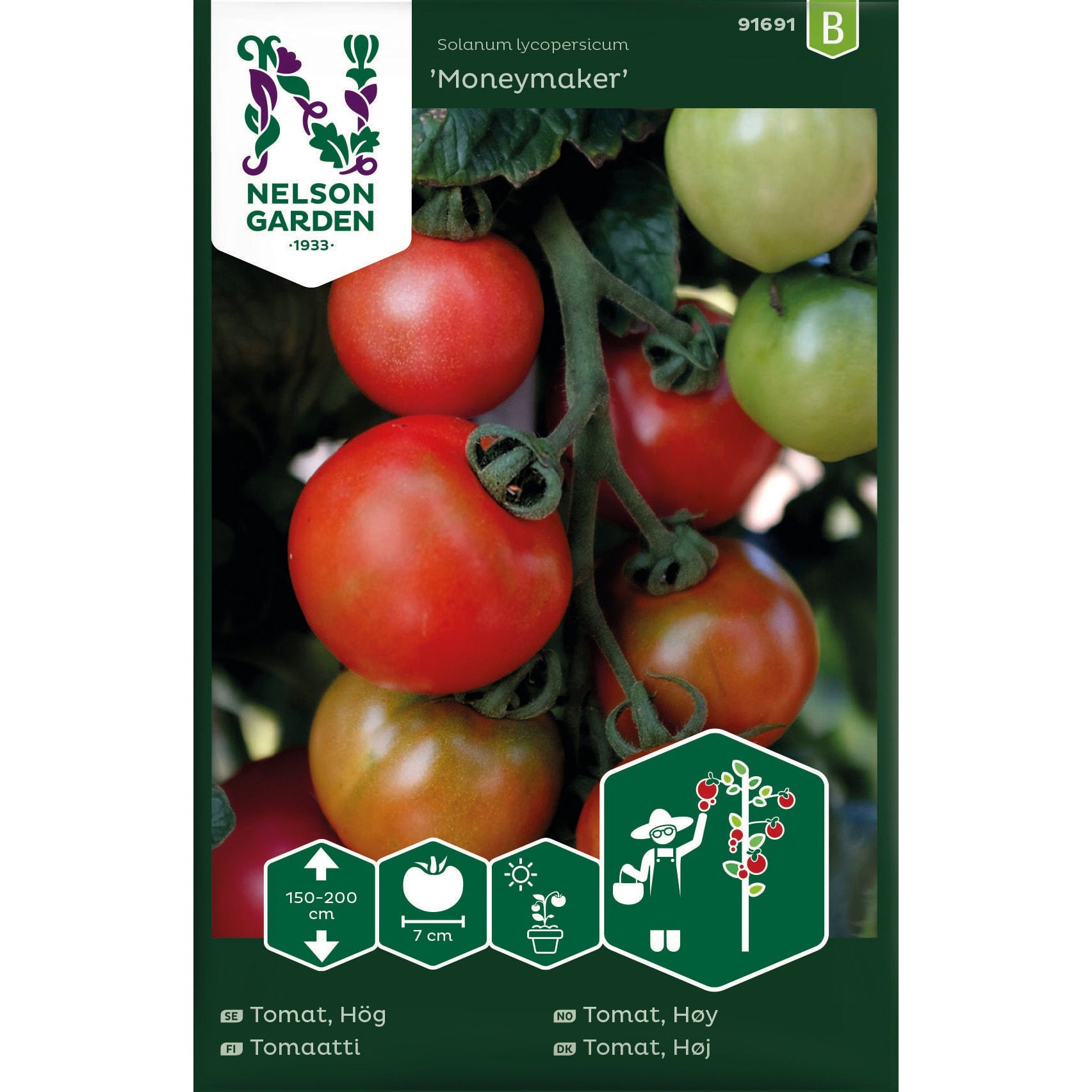 Tomat Hög Moneymaker