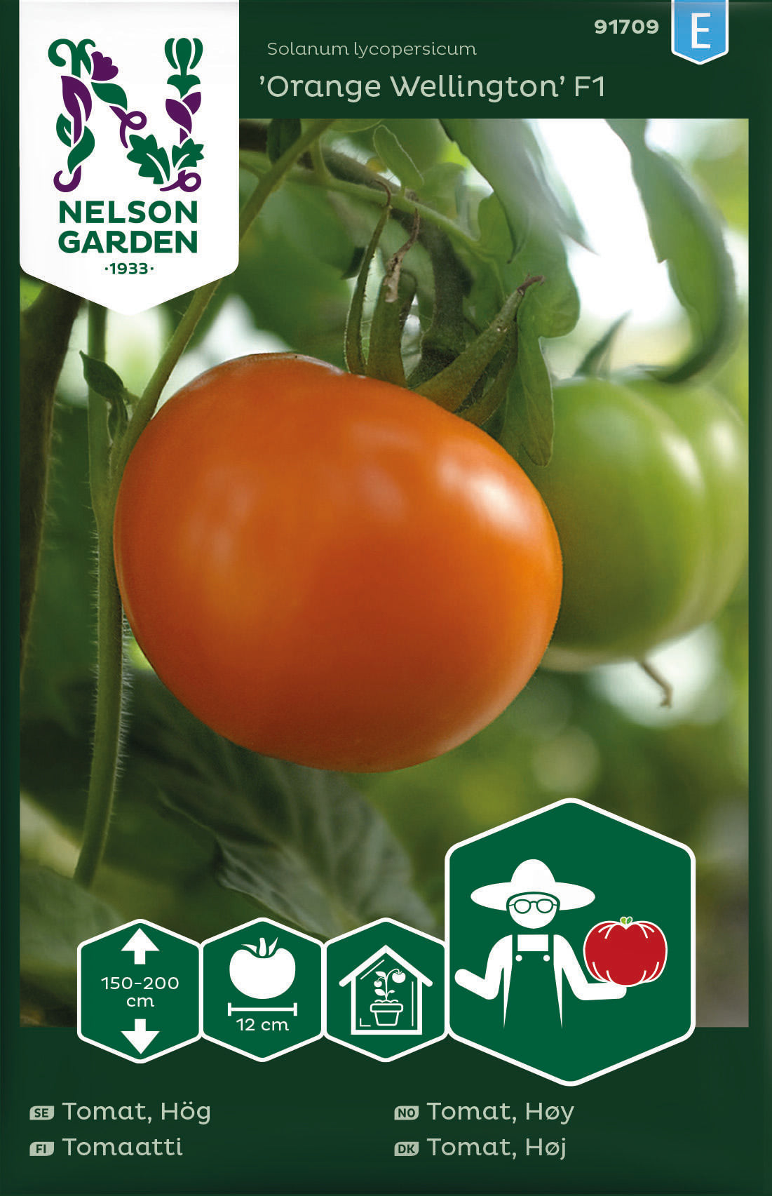 Tomat Hög Orange Wellington F1