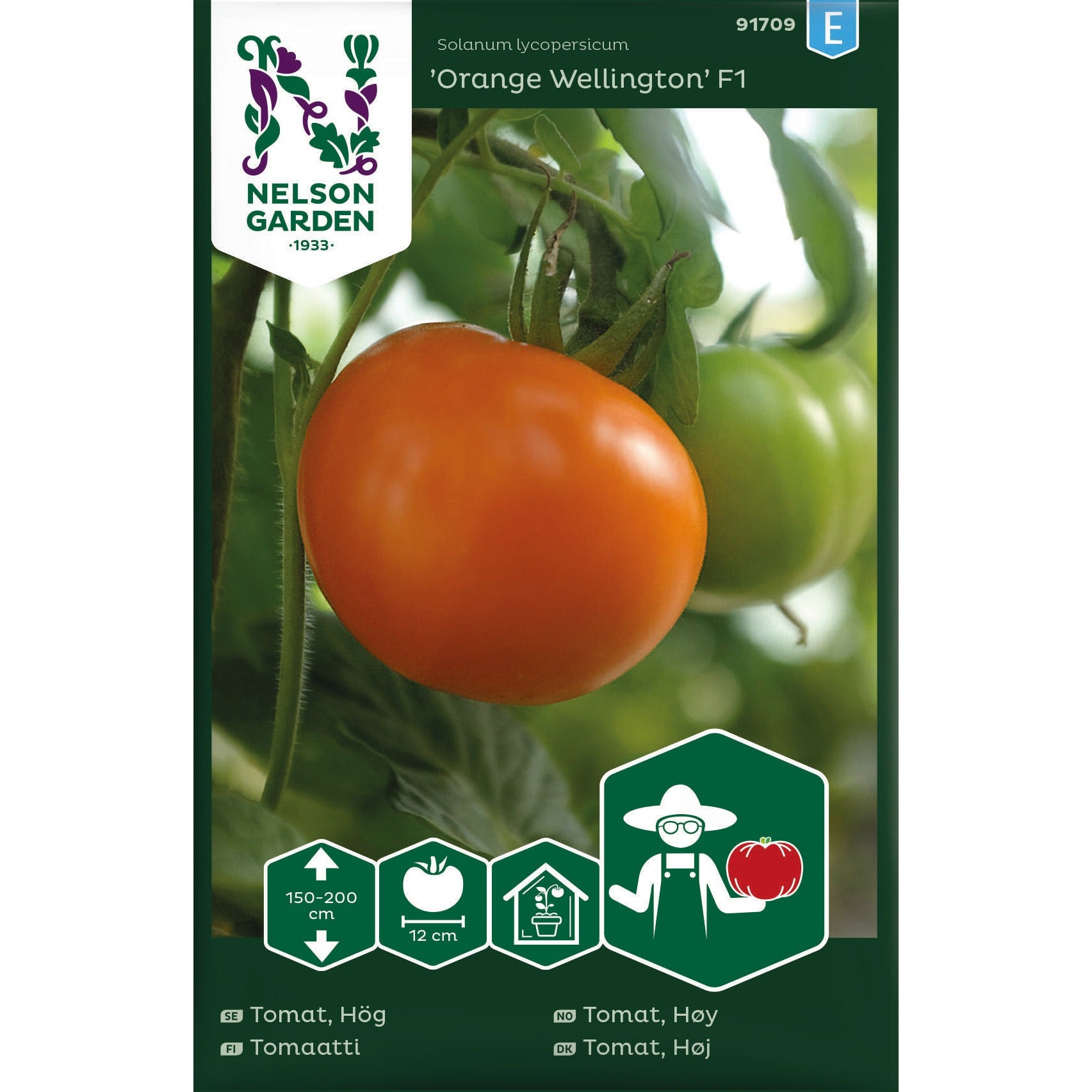 Tomat Hög Orange Wellington F1