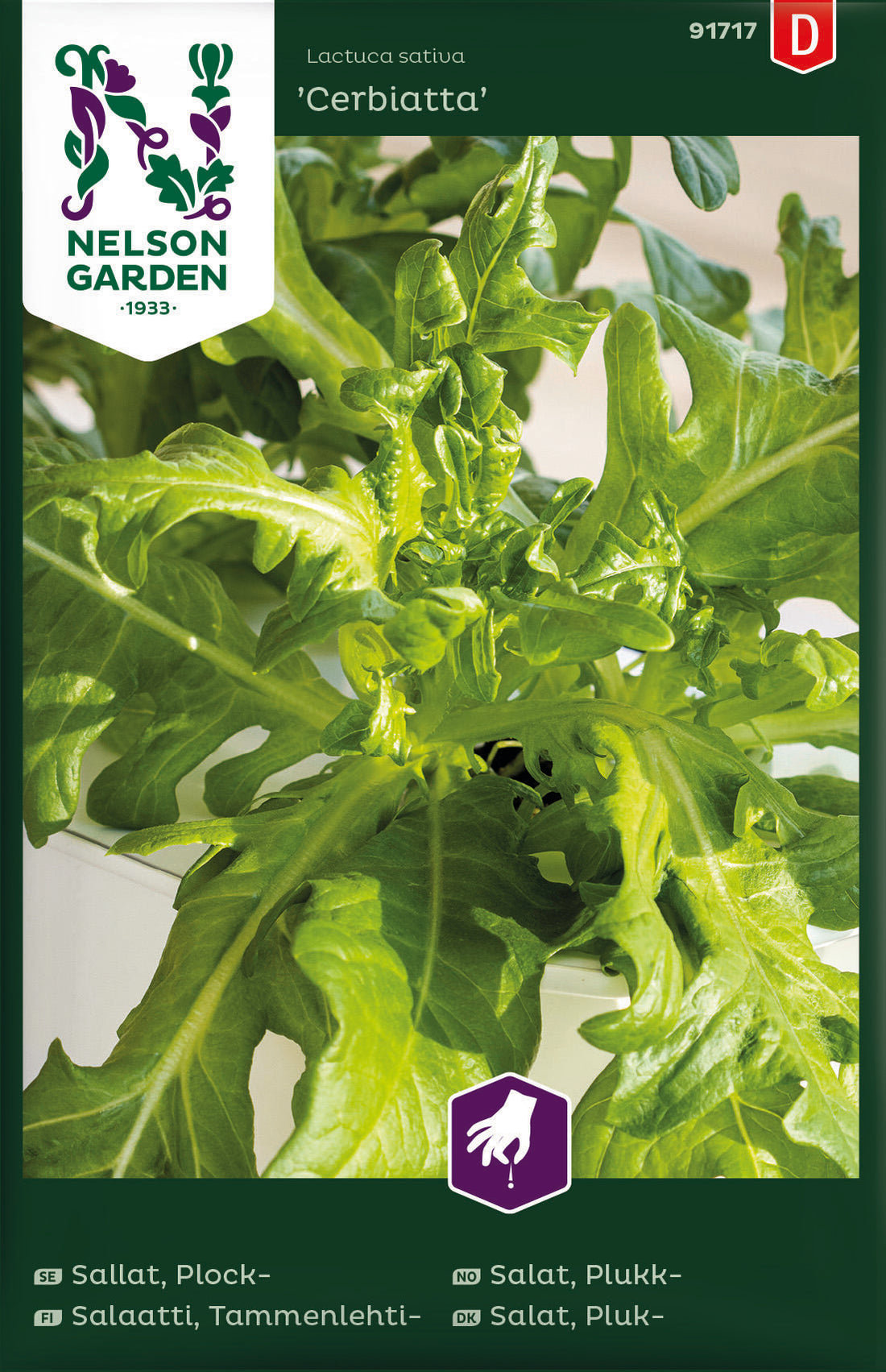 Sallat Plock- Cerbiatta