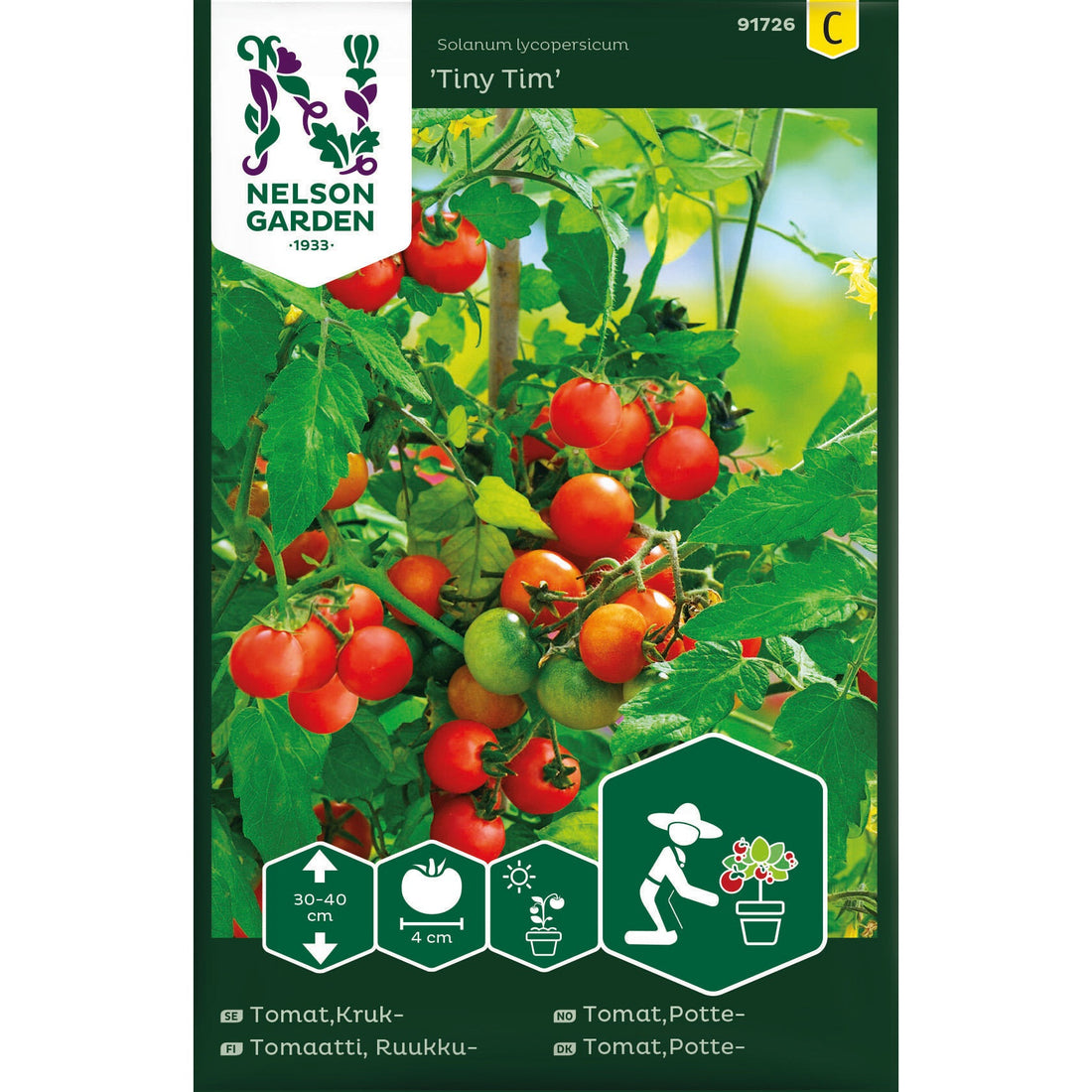 Tomat Kruk- Tiny Tim
