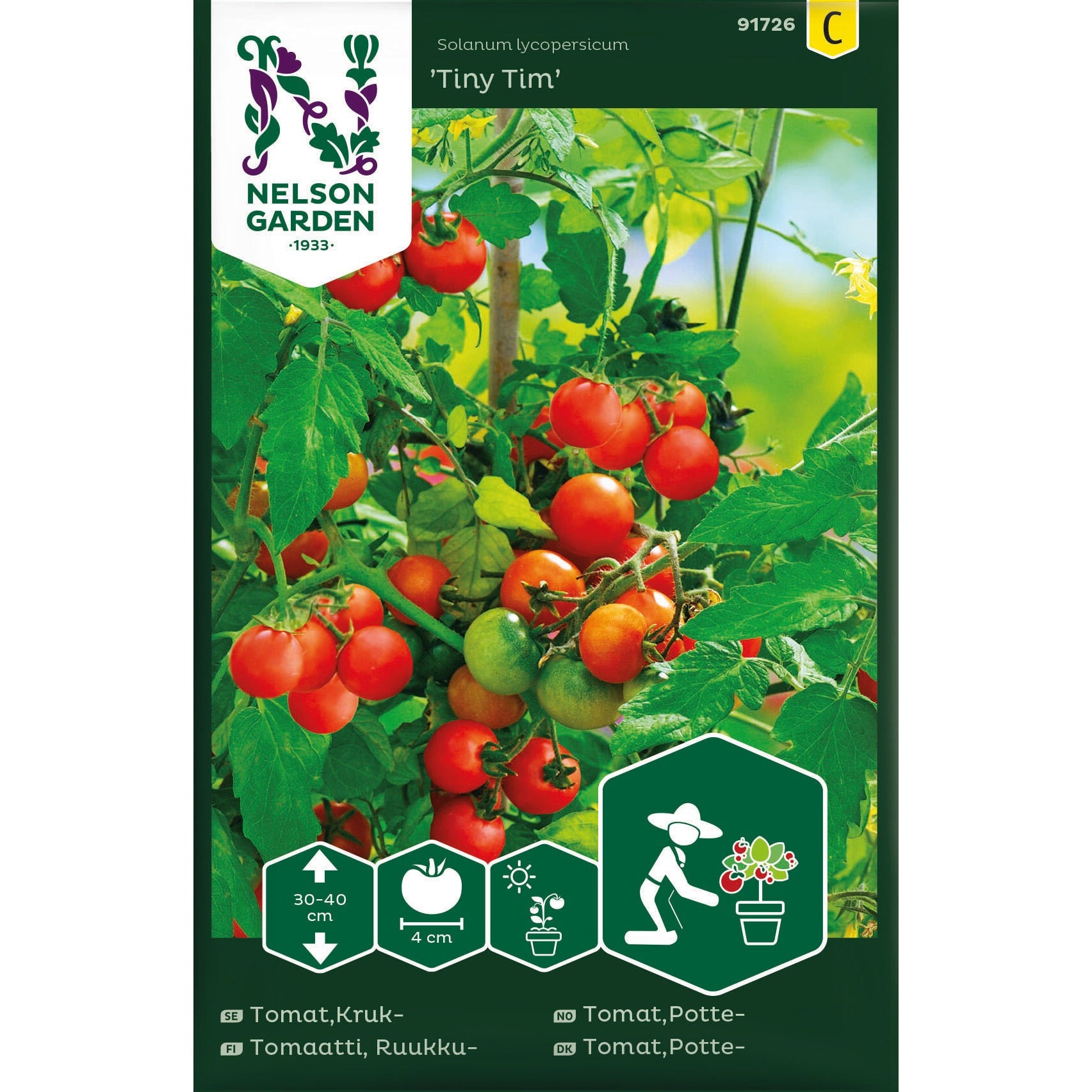 Tomat Kruk- Tiny Tim