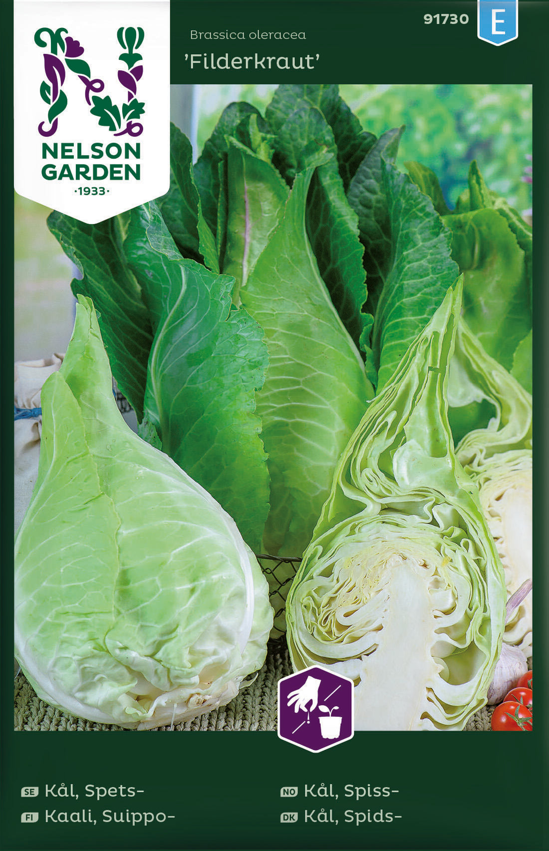 Spetskål Filderkraut