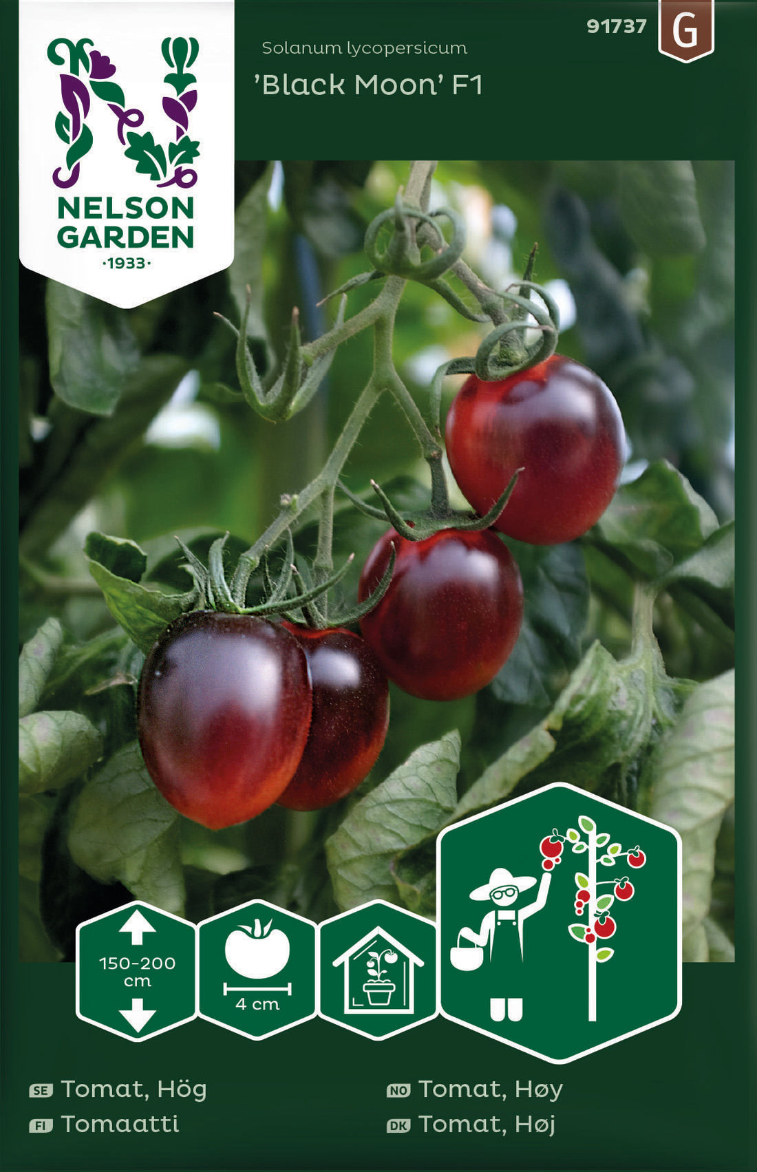 Körsbärstomat Black Moon F1