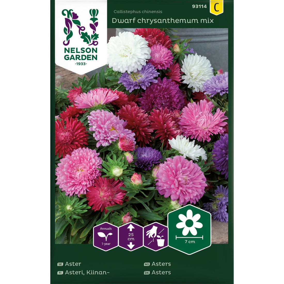 Aster Dvärg bl färger