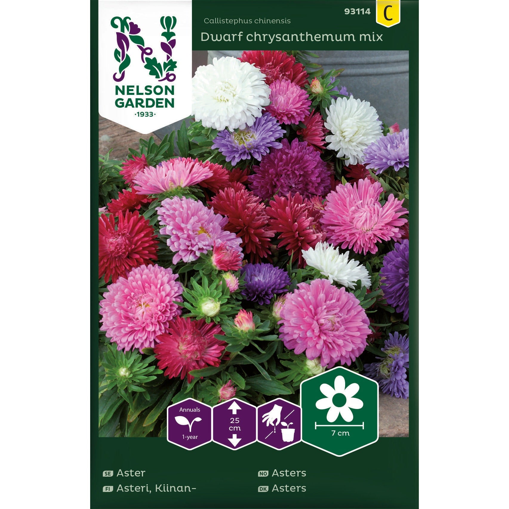 Aster Dvärg bl färger