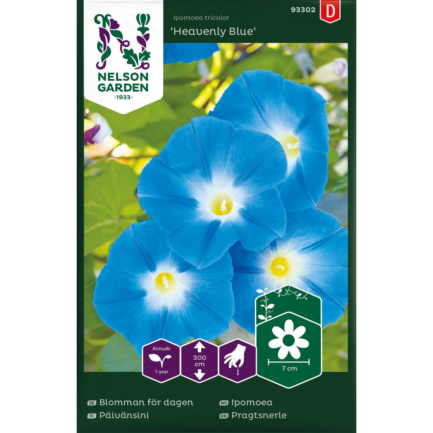 Blomman för dagen Heavenly Blue