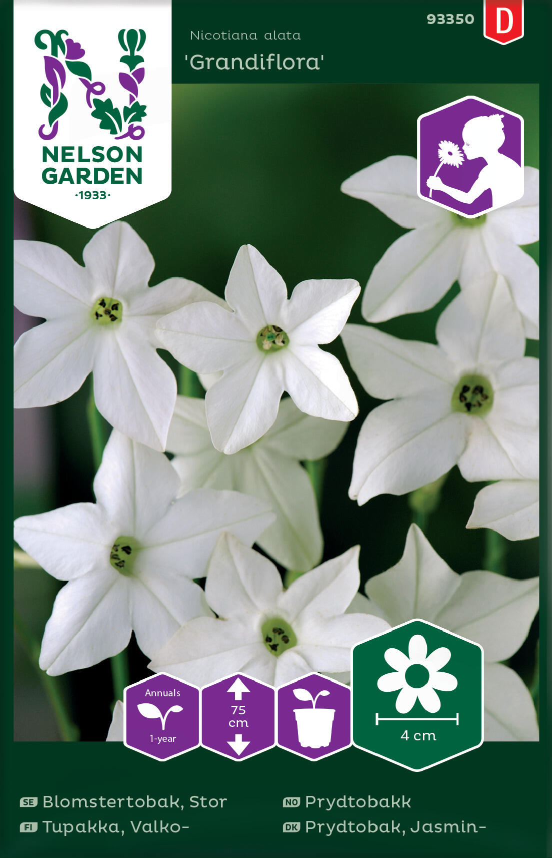 Stor Blomstertobak Grandiflora vit