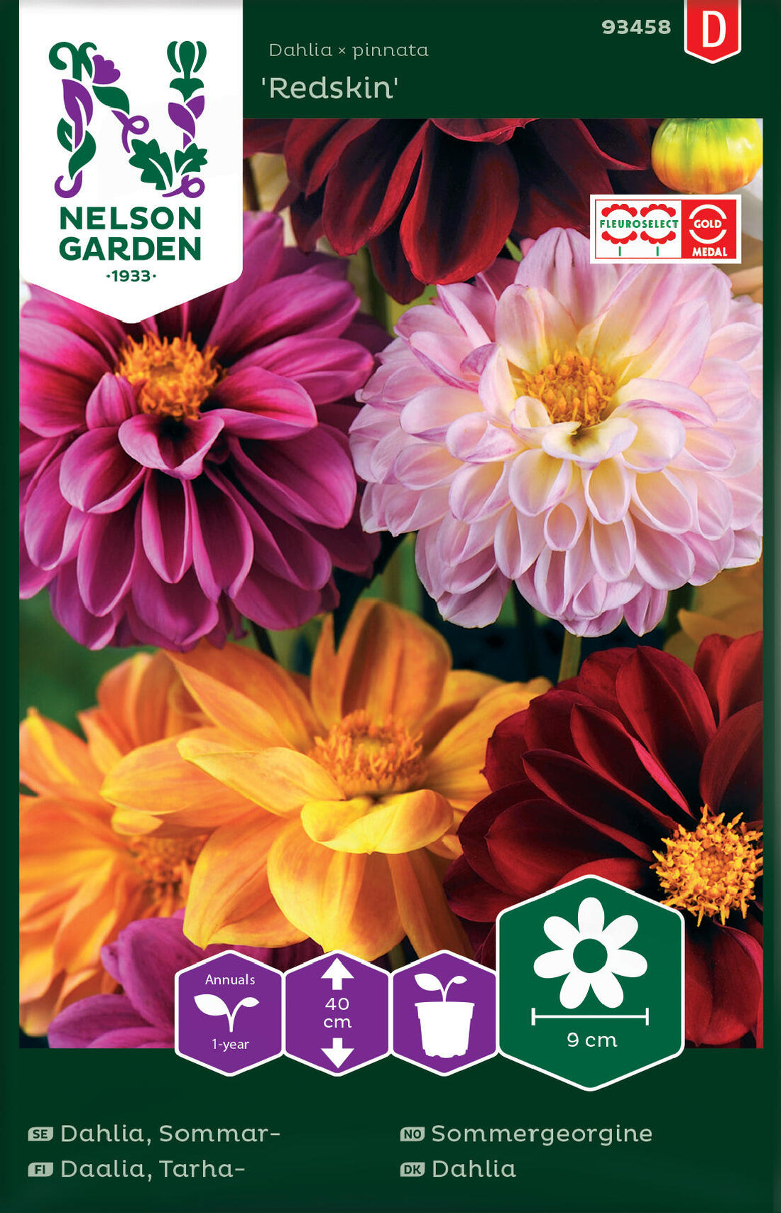 Sommardahlia - Redskin bl färger
