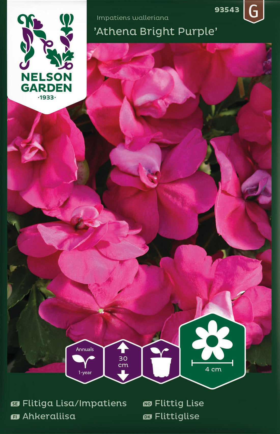 Flitiga Lisa/Impatiens Athena Bright Purple F1